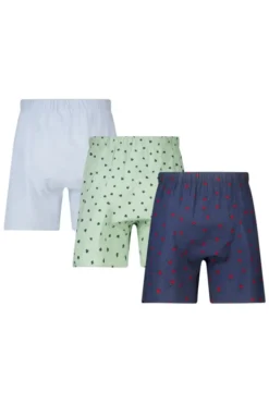 America Today New In|Ondergoed & Lounge^Boxerhort Thoa 3P 3-pack boxerhort et a-over print