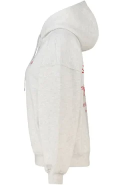 America Today New In|Truien & Vesten^Hoodie abina hood hoodie et back print en ebroidery