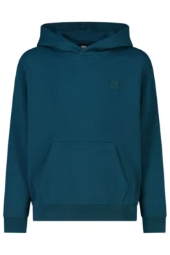 America Today Sweaters & Hoodies|New In^Hoodie Sealey Jr relaxed fit hoodie met logo
