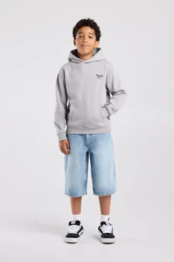 America Today Sweaters & Hoodies|New In^Hoodie Sebas jr regular fit hoodie met borduring en rugprint
