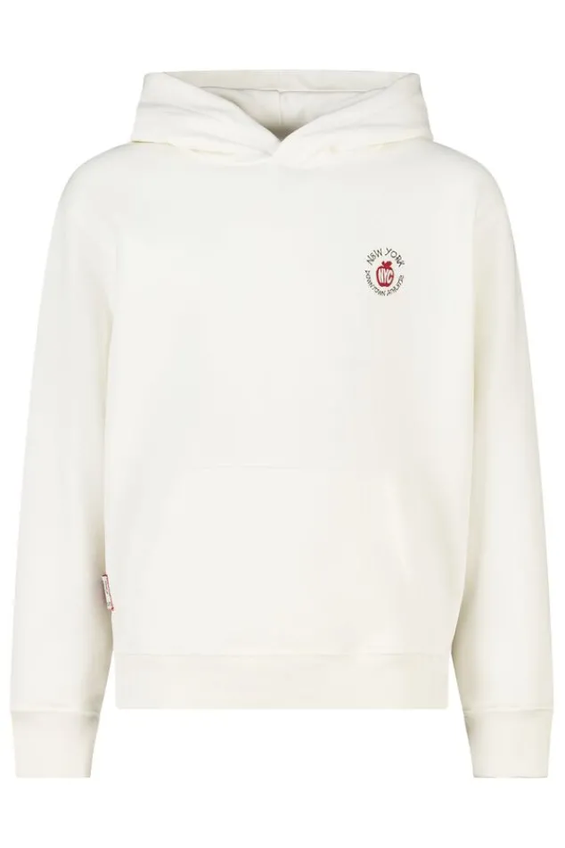 America Today Sweaters & Hoodies|New In^Hoodie Sebas jr regular fit hoodie met borduring en rugprint