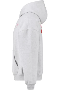 America Today Truien & Vesten|New In^Hoodie tan ooe fit hoodie et chet ebroidery