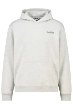 America Today Truien & Vesten^Hoodie tenreaxed fit hoodie van azy & Broke