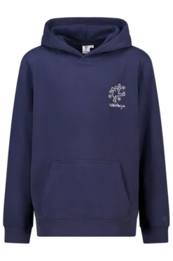 America Today Sweaters & Hoodies^Hoodie Storm JR Hoodie met keith haring borduursel voor en achter
