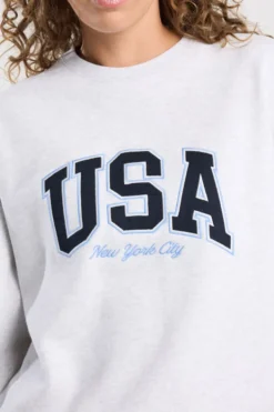 America Today Sweaters & Hoodies|Truien & Vesten^weat enna weater et New York City en UA print