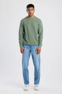 America Today Truien & Vesten|Knitwear^Trui Kain Reguar fit trui et ronde haijn
