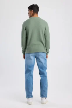 America Today Truien & Vesten|Knitwear^Trui Kain Reguar fit trui et ronde haijn
