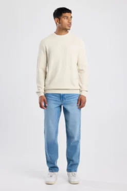 America Today Truien & Vesten|Knitwear^Trui Kain Reguar fit trui et ronde haijn