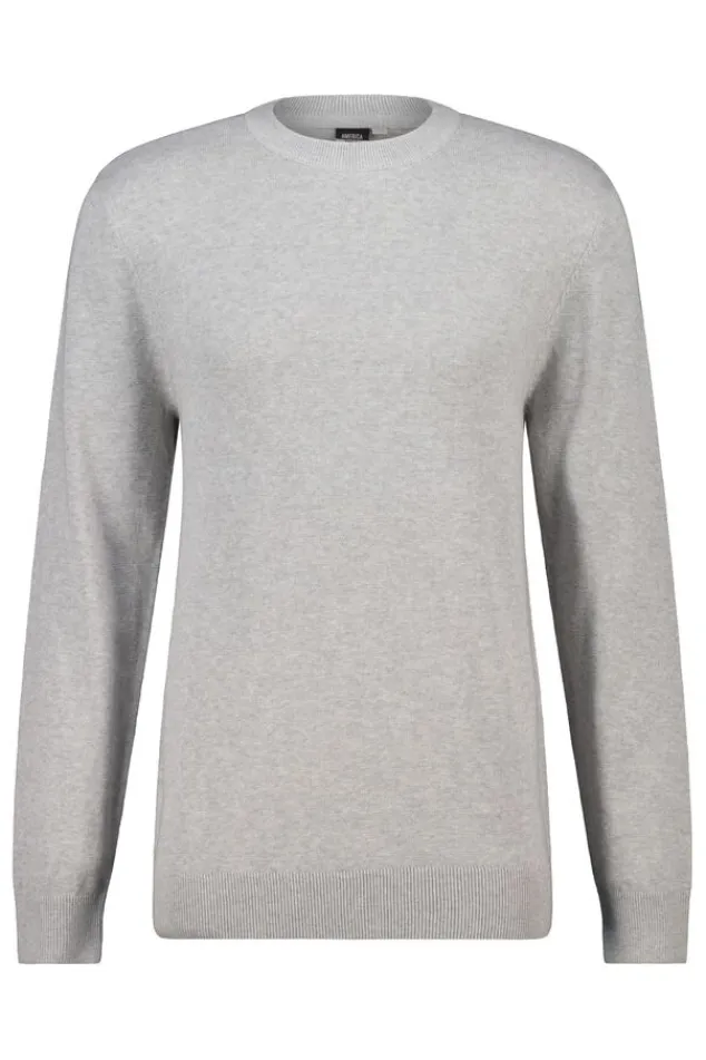 America Today Truien & Vesten|Knitwear^Trui Keith Heren puover in reguar fit et ronde haijn