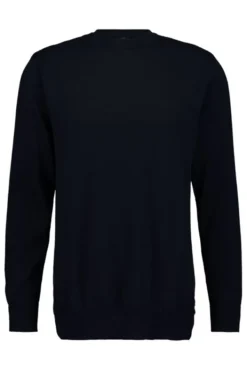 America Today Truien & Vesten|Knitwear^Trui Keith Heren puover in reguar fit et ronde haijn