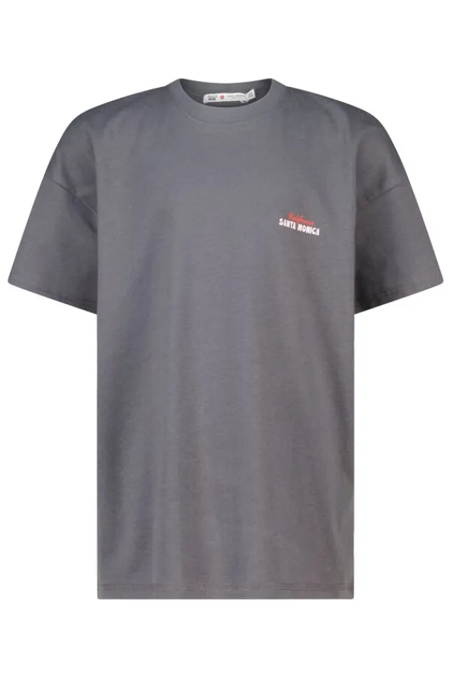 America Today T-Shirts & Tops^T-shirt Ellinor Jr loose fit t-shirt van biologisch katoen met print