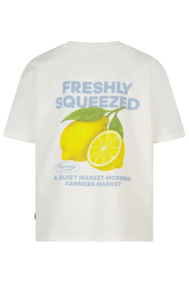 America Today T-Shirts & Tops^T-shirt Ellinor Jr loose fit t-shirt van biologisch katoen met print
