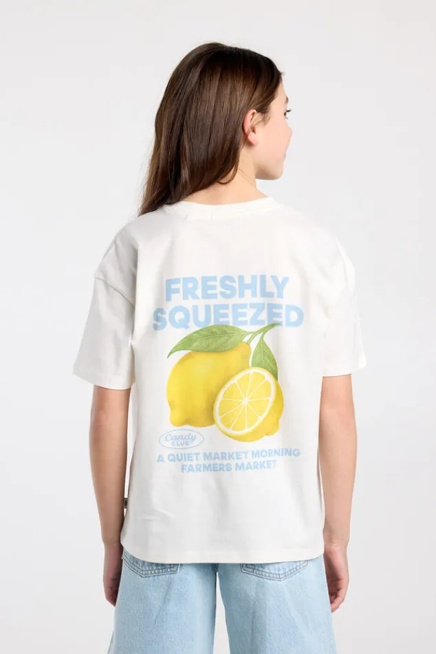 America Today T-Shirts & Tops^T-shirt Ellinor Jr loose fit t-shirt van biologisch katoen met print
