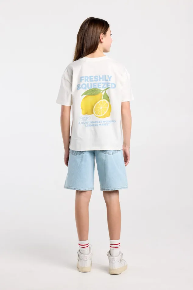 America Today T-Shirts & Tops^T-shirt Ellinor Jr loose fit t-shirt van biologisch katoen met print