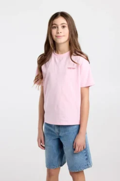 America Today T-Shirts & Tops^T-shirt Ellinor Jr loose fit t-shirt van biologisch katoen met print