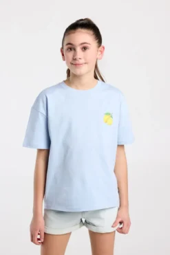 America Today T-Shirts & Tops^T-shirt Ellinor Jr loose fit t-shirt van biologisch katoen met print