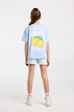 America Today T-Shirts & Tops^T-shirt Ellinor Jr loose fit t-shirt van biologisch katoen met print