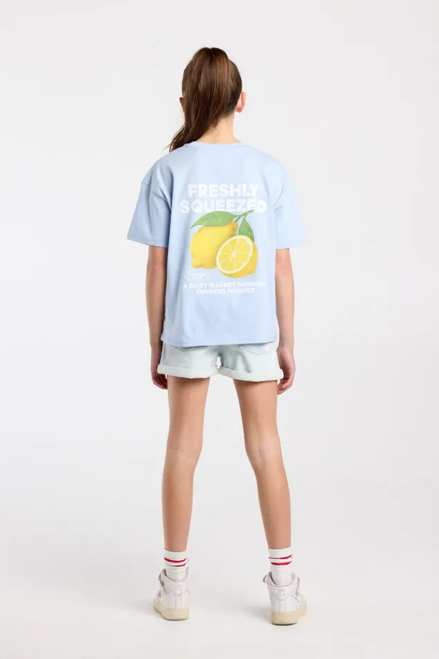 America Today T-Shirts & Tops^T-shirt Ellinor Jr loose fit t-shirt van biologisch katoen met print