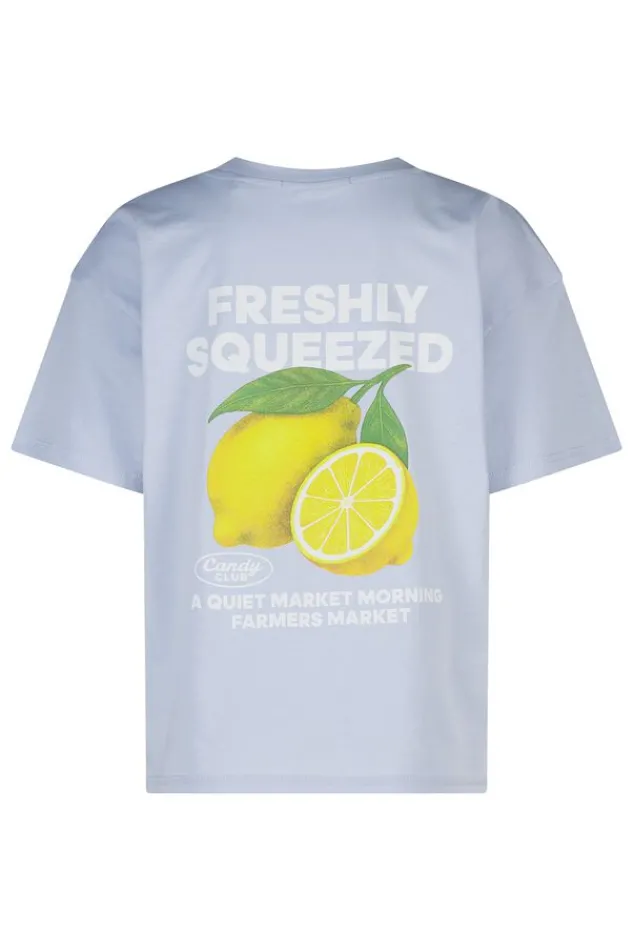 America Today T-Shirts & Tops^T-shirt Ellinor Jr loose fit t-shirt van biologisch katoen met print