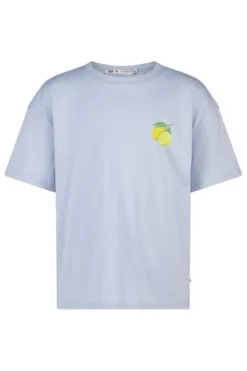 America Today T-Shirts & Tops^T-shirt Ellinor Jr loose fit t-shirt van biologisch katoen met print
