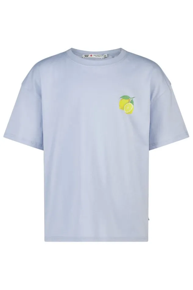 America Today T-Shirts & Tops^T-shirt Ellinor Jr loose fit t-shirt van biologisch katoen met print
