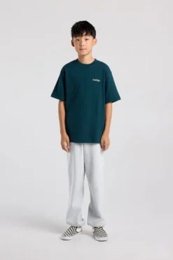 America Today New In|T-Shirts & Tops^T-shirt Everon Jr relaxed fit T-shirt met Smileyworld™ print